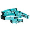 Paikka Glow Collar aqua 26 cm, 2,5 cm