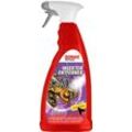 SONAX Insektenentferner Sonderedition 2023 (1 L) 05334410