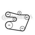 CONTINENTAL CTAM Wasserpumpe + Keilrippenriemensatz für BMW 6PK1538WP1