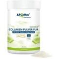 FORTIBONE® B (Rind) Collagen-Pulver - 300 g Pulver - Dose 300 g