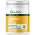 AniForte plus Probiotikum 90 St 90 St