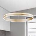 Paul Neuhaus Q-VITO LED-Pendelleuchte,1 Ring