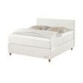 Jette Home Boxspringbett Jette Flex ¦ creme ¦ Maße (cm): B: 165 H: 1