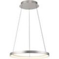 PAUL NEUHAUS Pendelleuchte "HOOP", LED, dimmbar, Simply Dim, Memory, nach Trennung vom Netz, Comfort Lift, Lampen, grau (aluminium), 1 flammig, Ø 57,00cm H: 40,00cm,