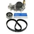 SKF Wasserpumpe + Zahnriemensatz für RENAULT NISSAN 16806-00QAN 77014-72726 210103314R VKMC 06010