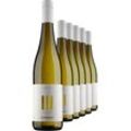 III Freunde Riesling Alkoholfrei im 6er-Vorratspaket