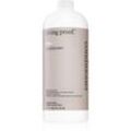 Living Proof No Frizz glättender Conditioner gegen strapaziertes Haar 1000 ml