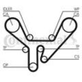 CONTINENTAL CTAM Zahnriemen für AUDI 077109119D 077109119E 077198119 CT727