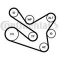 CONTINENTAL CTAM Keilrippenriemensatz für RENAULT DACIA NISSAN 117203790R 117203336R 1172000Q6G 7PK1570K1