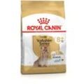 Yorkshire Terrier 8+ Hunde-Trockenfutter Geflügel 1,5 kg - Royal Canin