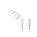 Kabel und Wandgesteck (USB-C + Lightning) 20W - WTK