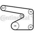 CONTINENTAL CTAM Wasserpumpe + Keilrippenriemensatz mit Temperaturgeber für OPEL SUZUKI 5PK1355WP2