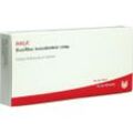 Disci/Rhus Tox Comp 10 ML