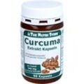 Curcuma 340mg Extrakt 90 ST