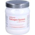 Amitamin Collagen System 360 G