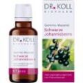 Gemmo-Mazerat Schwarze Johannisbeere Dr.koll Ribes 50 ML