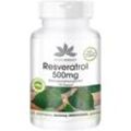 Resveratrol 500 mg 120 ST