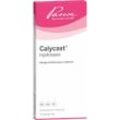 Calycast Injektopas 20 ML