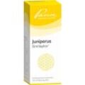 Juniperus Similiaplex 100 ML