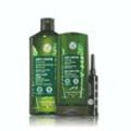 XMAS24 ( mit Code XMAS24 10€ ab 40€ Bestellwert) - Yves Rocher - Set Anti-Haarausfall