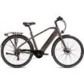 E-Bike HOLLANDIA "Mantova" E-Bikes Gr. 52cm, 28 Zoll (71,12cm), grau Pedelec, Elektrofahrrad für Damen u. Herren