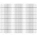 Doppelstabmattenzaun ALBERTS "Doppelstab-Gittermatte 6/5/6", grau (anthrazit), H:160cm, Stahl, Zaunelemente, LxH: 200x160 cm