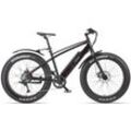 E-Bike TELEFUNKEN "Aufsteiger FM350" Gr. 50, schwarz, E-Bikes, 50cm, 26 Zoll (66,04cm), Pedelec, Elektrofahrrad für Damen u. Herren, MTB