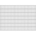 Doppelstabmattenzaun ALBERTS "Doppelstab-Gittermatte 6/5/6", grau (anthrazit), H:140cm, Stahl, Zaunelemente, LxH: 200x140 cm