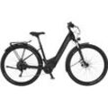 E-Bike FISCHER FAHRRAD "TERRA 8.0i 43" Gr. 43, schwarz, E-Bikes, 43cm, 29 Zoll (73,66cm), Pedelec, Elektrofahrrad für Damen u. Herren