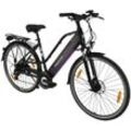 E-Bike MAXTRON "MT 12" Gr. 50, schwarz, E-Bikes, 50cm, 28 Zoll (71,12cm), Pedelec, Elektrofahrrad für Damen u. Herren