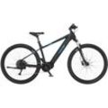 E-Bike FISCHER FAHRRAD "MONTIS 4.5i 522" Gr. 43, schwarz, E-Bikes, 43cm, 29 Zoll (73,66cm), Pedelec, Elektrofahrrad für Damen u. Herren, MTB