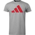 T-Shirt ADIDAS PERFORMANCE "Perfo Script Graphic Tee" Shirts Gr. S, grau Herren