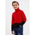 Rollkragenpullover GULLIVER Gr. 158, rot Herren Pullover mit zweifarbigem Design