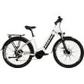 E-Bike TOTEM "DLT-40" Gr. 45, weiß, E-Bikes, 45cm, 29 Zoll (73,66cm), Pedelec, Elektrofahrrad für Herren