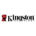 Kingston Canvas React Plus - Flash-Speicherkarte - 1 TB - Video Class V60 / UHS-II U3 / Class10 - SDXC UHS-II