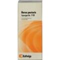 Synergon Kompl Burs Pa 110 50 ML