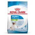 ROYAL CANIN X-SMALL Puppy Trockenfutter für Welpen sehr kleiner Hunderassen 1,5kg