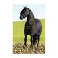 Rambo Stalldecke Stable 100 g 1,25 m