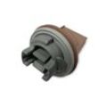 DIEDERICHS Lampenträger, Blinkleuchte VW 2213287 1J0953123A