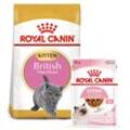 ROYAL CANIN KITTEN British Shorthair 2kg + Kitten in Soße 12x85g