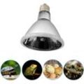 Heizlampe, Infrarot-Heizlampe, Hühnerstall-Heizlampe, Welpen-Heizlampe zum Warmhalten im Terrarium für Reptilien, 60 w (E27)