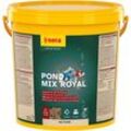 Pond Mix Royal 21 Liter Eimer Futter Perlets Teichfutter Fischfutter Teich - Sera