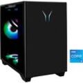 MEDION Gaming-PC "ERAZER Bandit P20 (MD35020)", schwarz, Microsoft Windows 11 Home, 16 GB RAM 1000 GB SSD, Computer