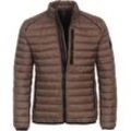 Steppjacke CASAMODA "CASAMODA uni" Gr. M, braun (hellbraun) Herren Jacken