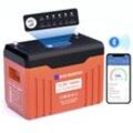 Eco-worthy - LiFePO4 Akku 12V 100Ah Bluetooth und WiFi Lithium Batterie mit Monitor-Anzeigelampe,100 bms Niedrigtemperaturschutz, automatischer