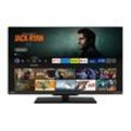 32 Zoll Fernseher Fire TV (HD, HDR, Smart TV, Triple-Tuner, Alexa Built-In) 32WF3F63DAZ