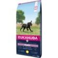 EUKANUBA Trockenfutter Hund Large Breed Puppy, Huhn 15 kg