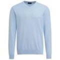 Herren Pullover mit V-Ausschnitt