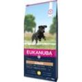 EUKANUBA Trockenfutter Hund Large Breed Junior, Huhn 15 kg