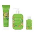 Handpflegeset HAND CARE COLLECTION Duft Citrus